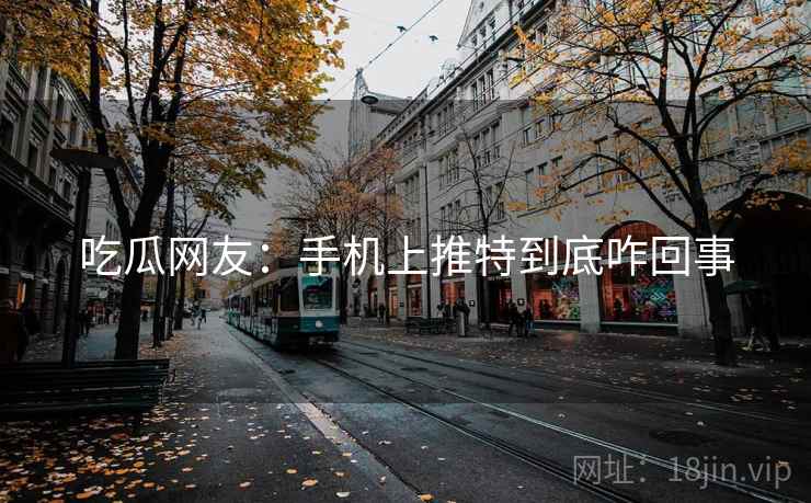 吃瓜网友：手机上推特到底咋回事